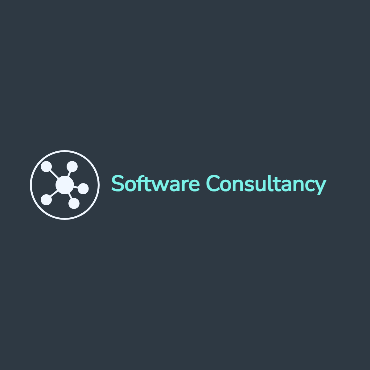 software consultancy logo